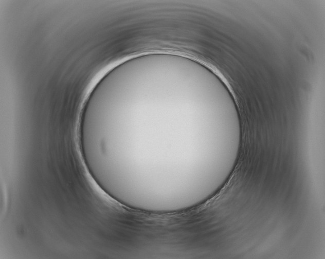 X0000111901531200909071126