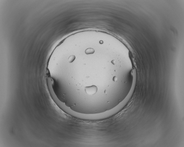 X0000111901532200909071126