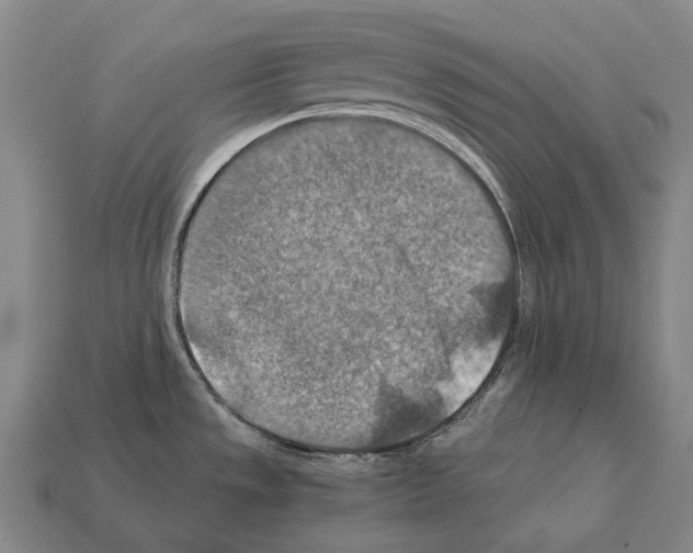 X0000111901533200909071126