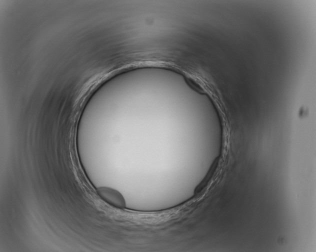 X0000111910001200907271046