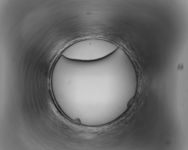 X0000111910002200907271046