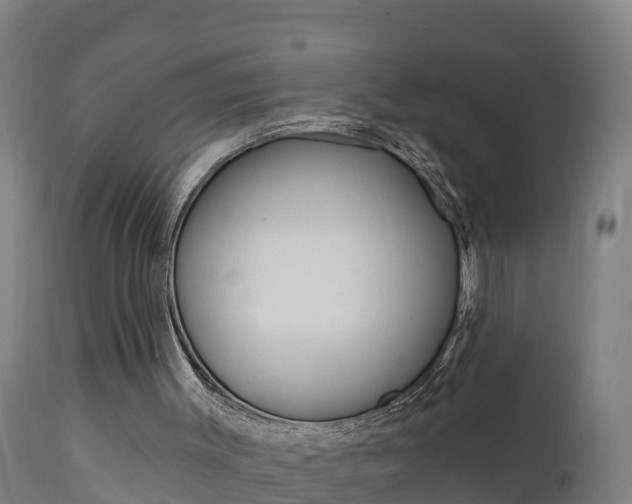 X0000111910003200907271046
