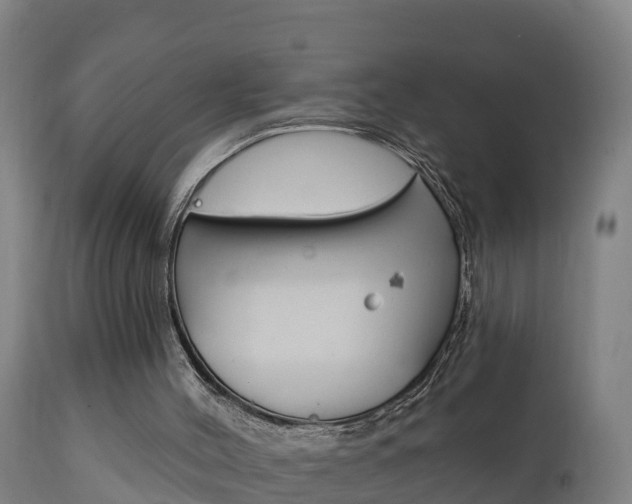 X0000111910004200907271046