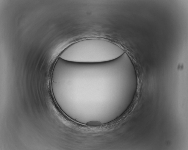 X0000111910005200907271046