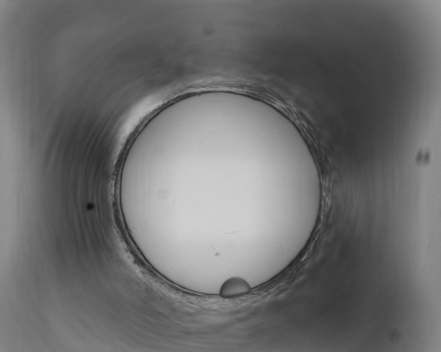 X0000111910006200907271046