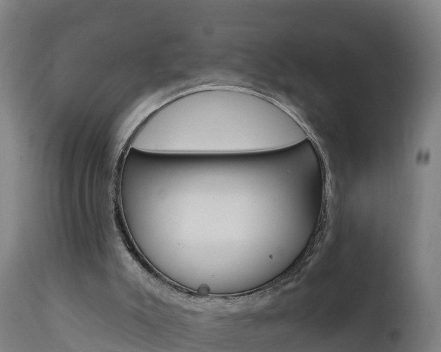 X0000111910007200907271046