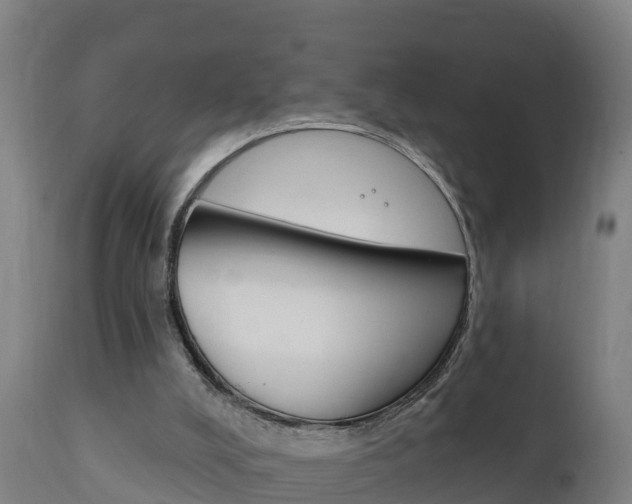 X0000111910008200907271046