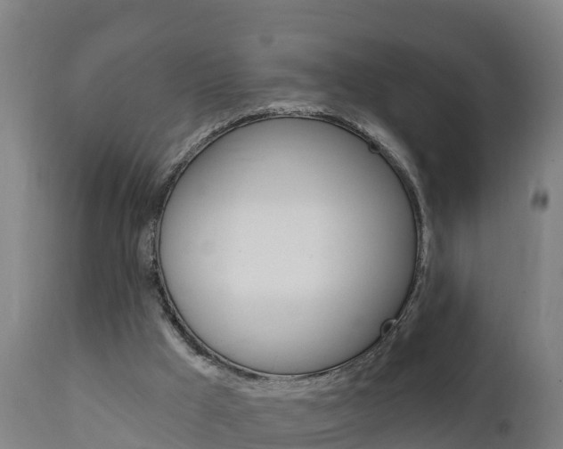 X0000111910009200907271046