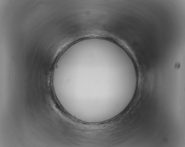X0000111910010200907271046
