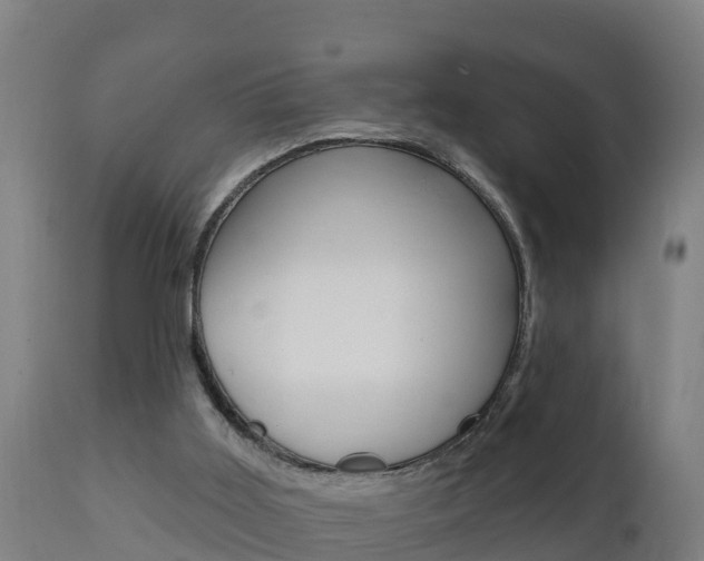 X0000111910011200907271046