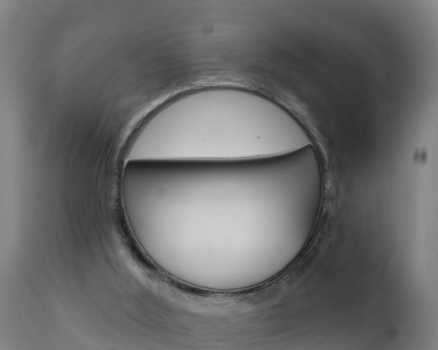 X0000111910012200907271046