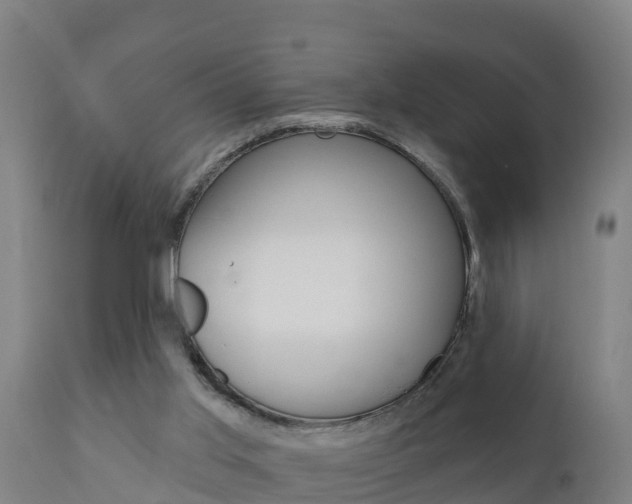 X0000111910013200907271046