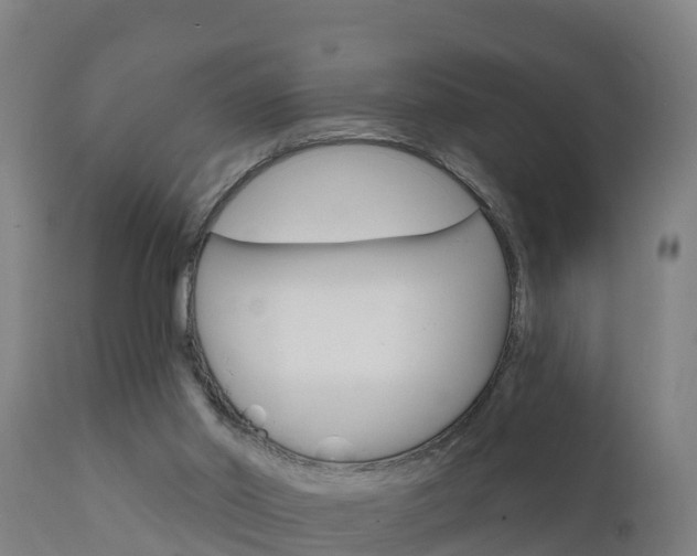 X0000111910014200907271046
