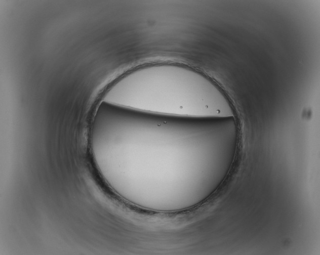 X0000111910016200907271046