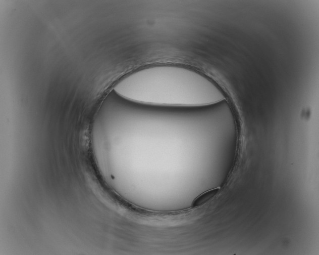 X0000111910017200907271046