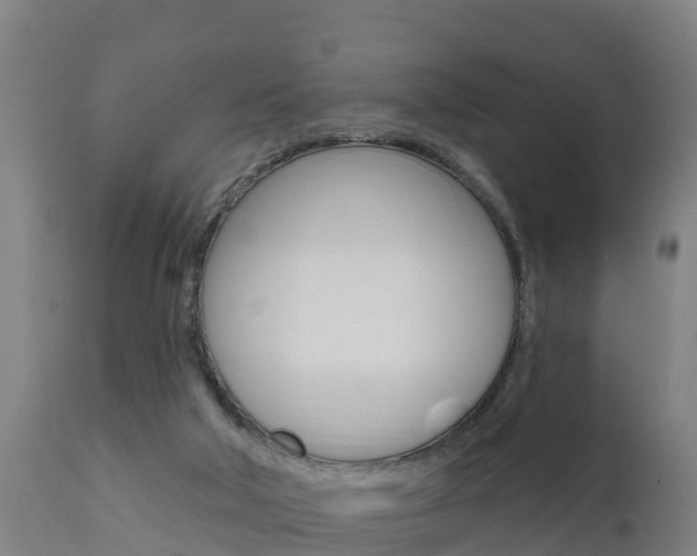 X0000111910018200907271046