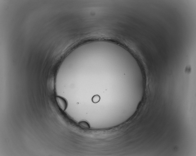 X0000111910021200907271046