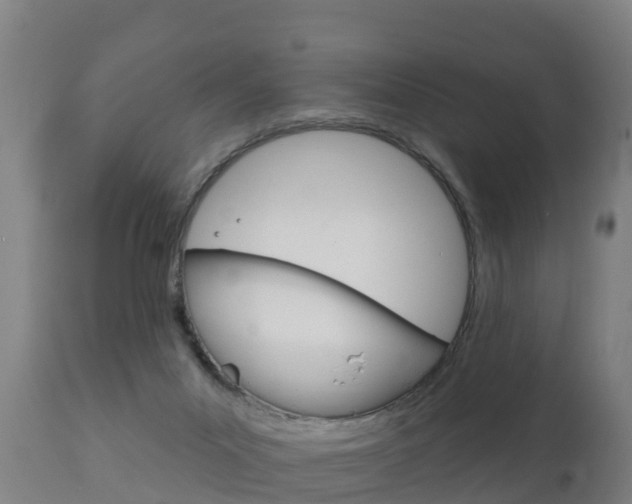 X0000111910023200907271046