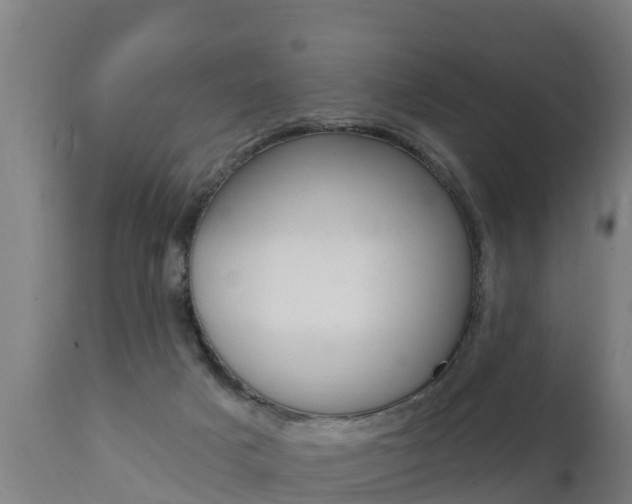 X0000111910025200907271046