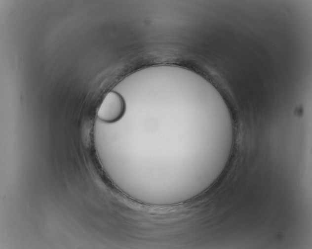 X0000111910026200907271046