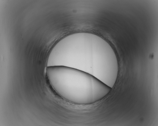X0000111910027200907271046