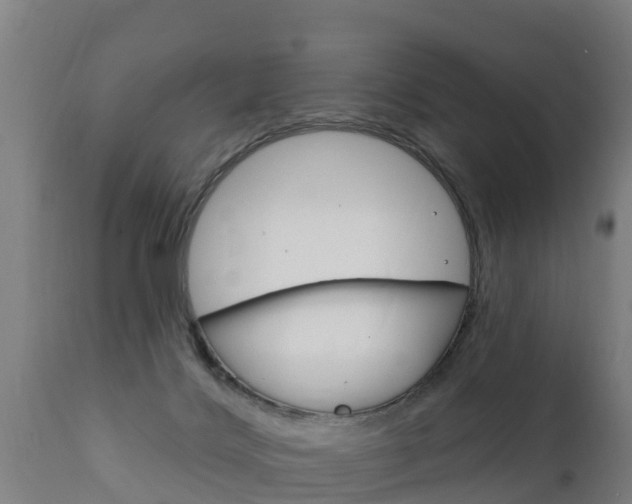 X0000111910028200907271046