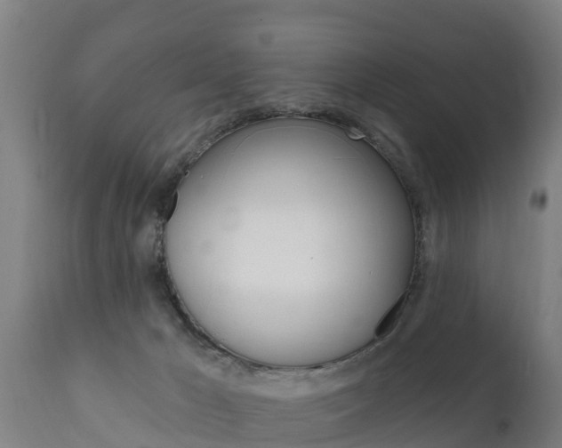 X0000111910029200907271046