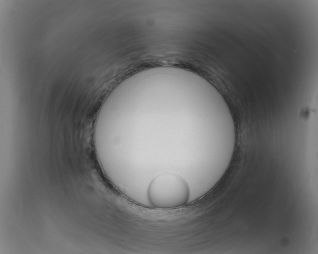 X0000111910030200907271046
