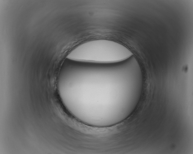X0000111910031200907271046