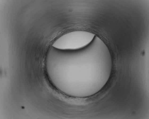 X0000111910032200907271046