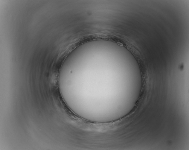 X0000111910033200907271046