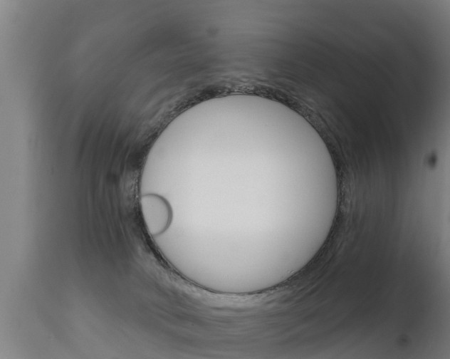 X0000111910034200907271046