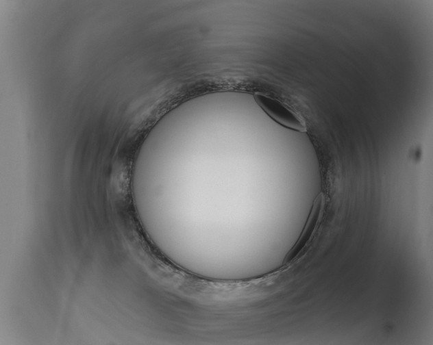 X0000111910037200907271046