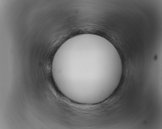 X0000111910040200907271046