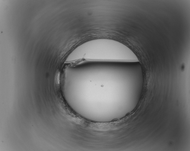 X0000111910041200907271046