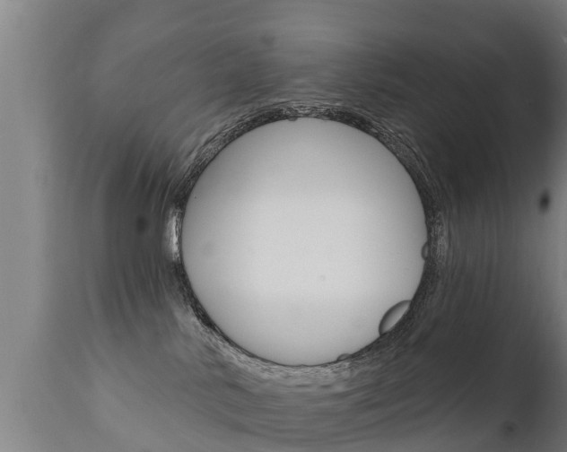 X0000111910042200907271046