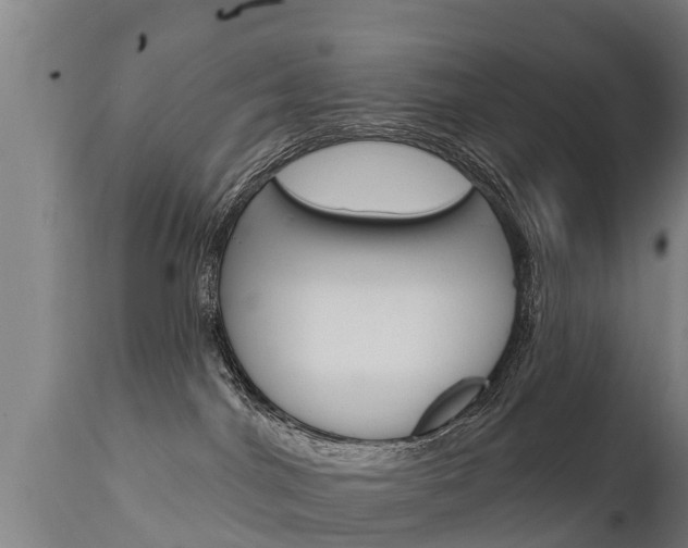 X0000111910044200907271046