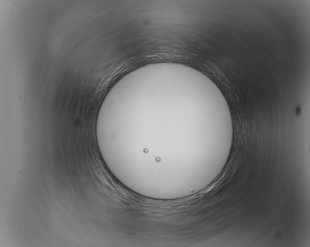 X0000111910045200907271046