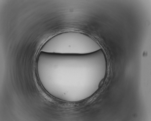 X0000111910049200907271045