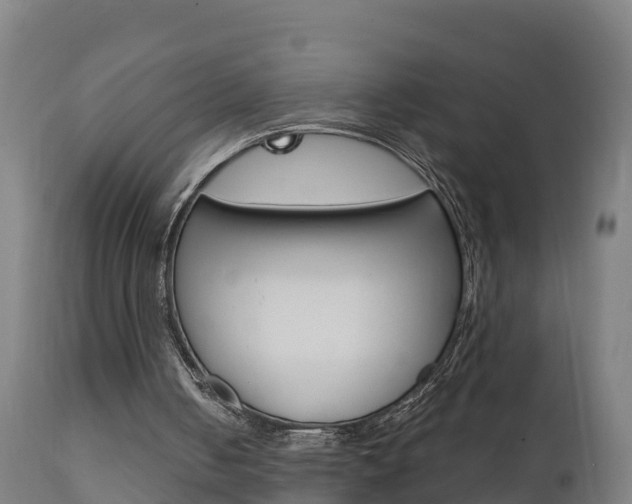 X0000111910050200907271045