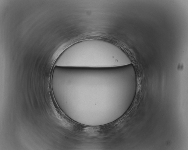 X0000111910051200907271045