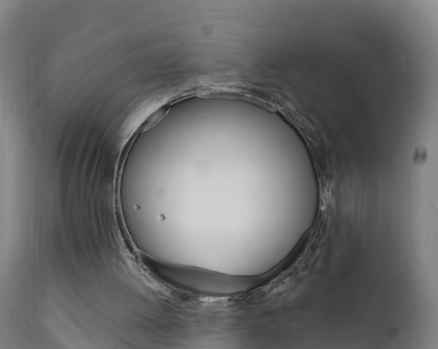 X0000111910052200907271045
