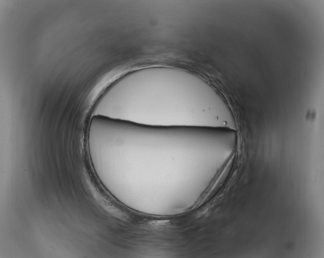 X0000111910054200907271045