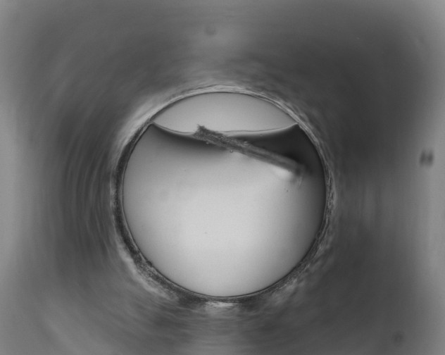X0000111910055200907271045