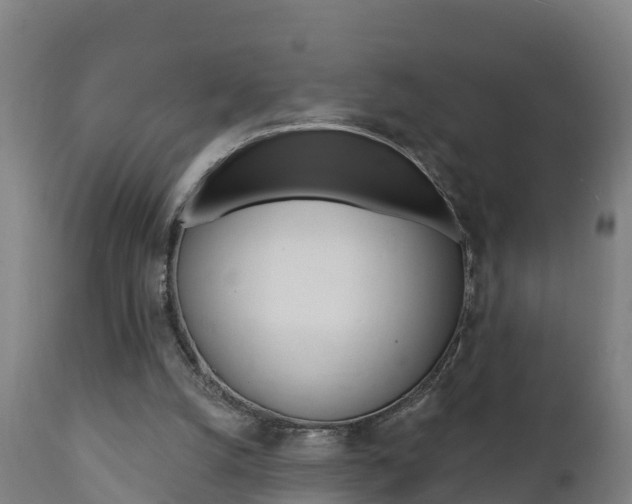 X0000111910056200907271045