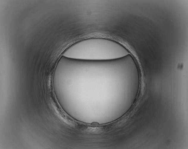 X0000111910057200907271045