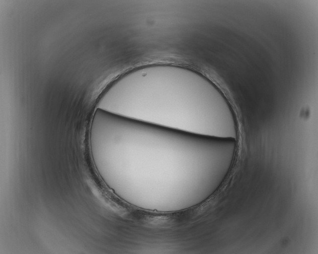 X0000111910058200907271045