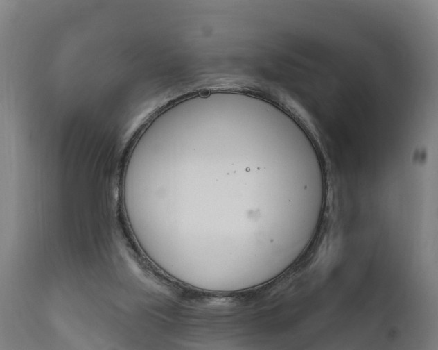 X0000111910059200907271045