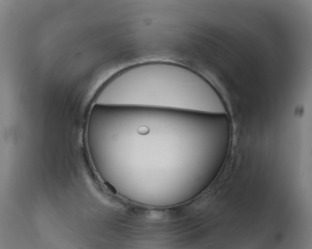 X0000111910060200907271045