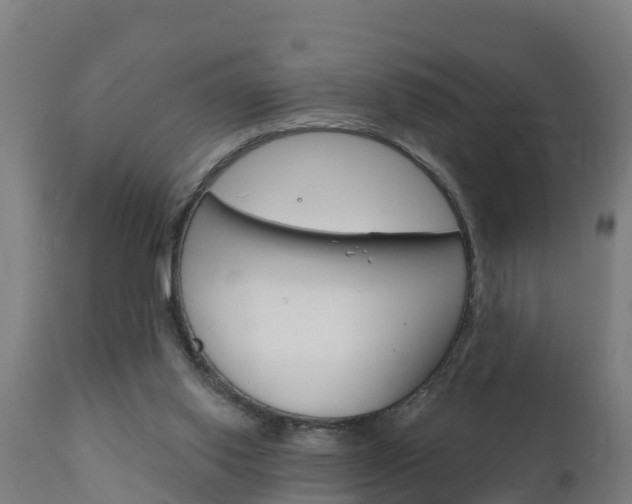 X0000111910062200907271045
